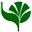 Agricultural and Processed Food Products Export Development Authority (APEDA) Official Logo