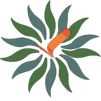 Arunachaluniversity Official Logo