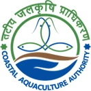 Caa Official Logo