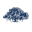 IIIT Authority Official Logo