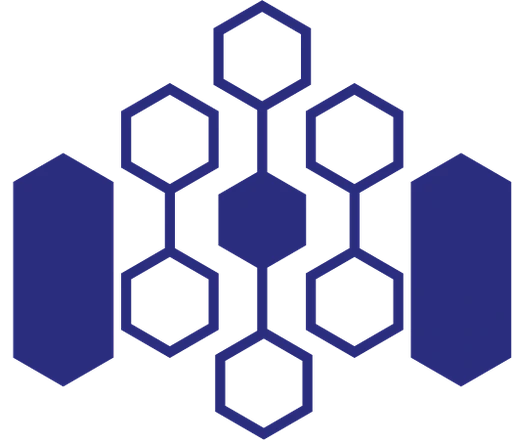 Indian Institute of Information Technology R (IIIT R) Official Emblem