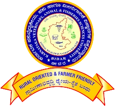 Kvafsu Official Logo