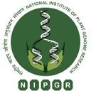 Nipgr Official Logo