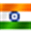 Nsi Official Emblem