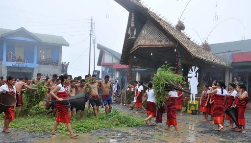 District Administration Mokokchung Official Logo